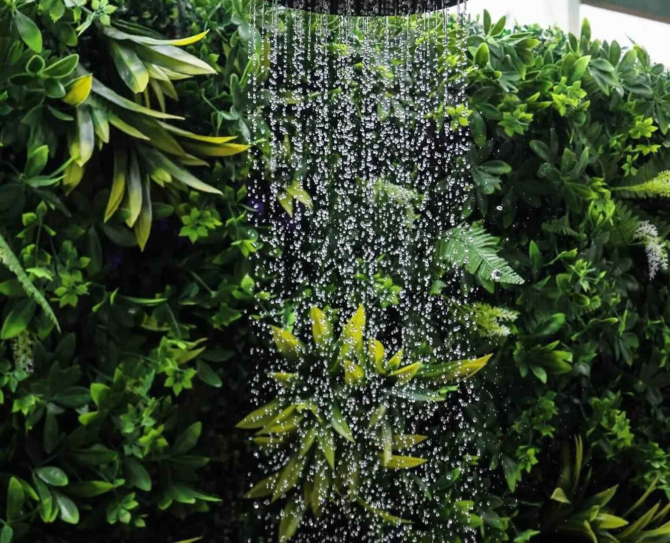 Apartment Garden Of Eden Hotel Brenas